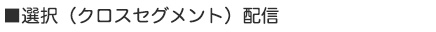 選択（クロスセグメント）配信